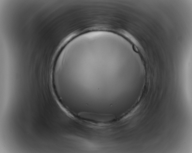 X0000084011237200703091920