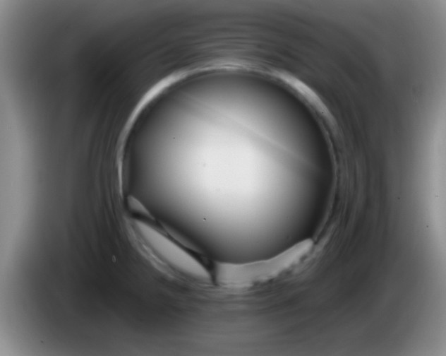 X0000084011238200703091920