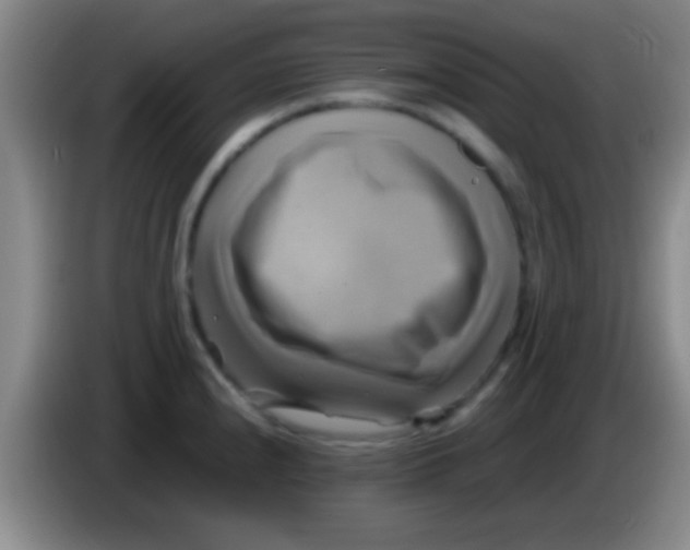 X0000084011240200703091920