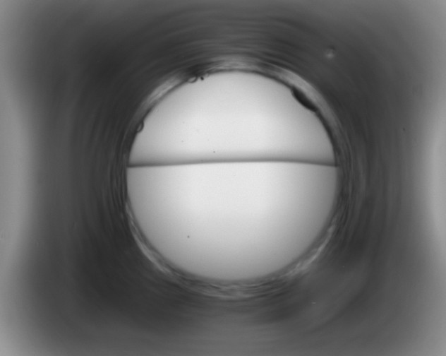 X0000084011241200703091920