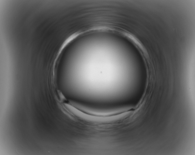 X0000084011242200703091920