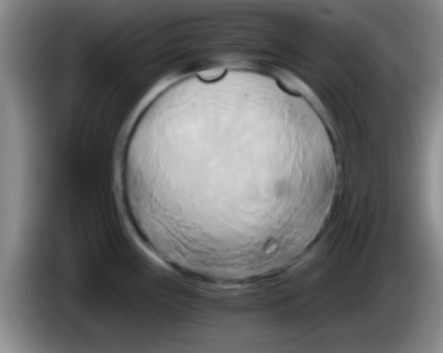 X0000084011243200703091920