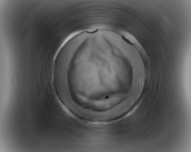 X0000084011244200703091920