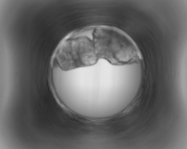 X0000084011245200703091920