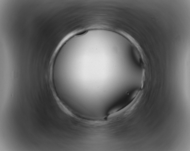 X0000084011246200703091920