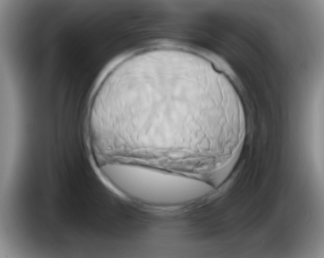 X0000084011247200703091920