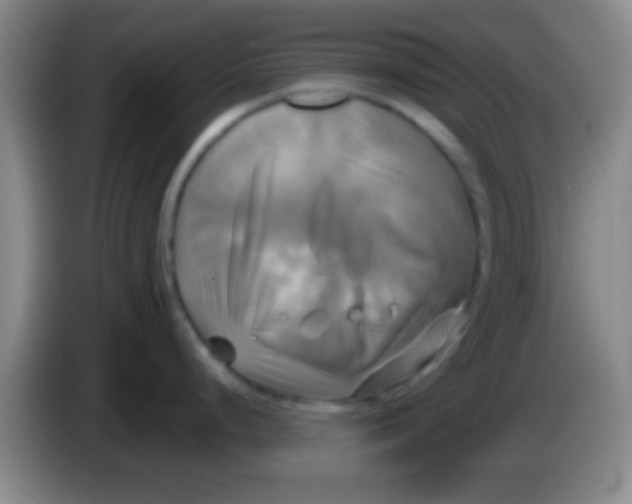 X0000084011248200703091920