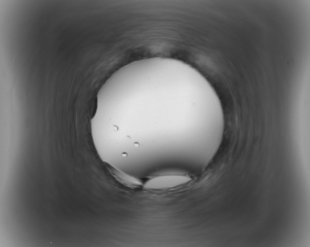 X0000084011249200703091919