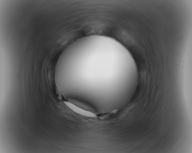 X0000084011250200703091919