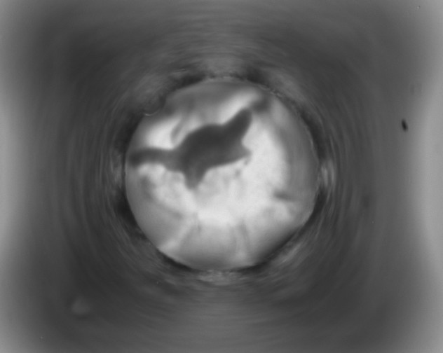 X0000084011251200703091919