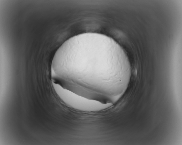 X0000084011252200703091919