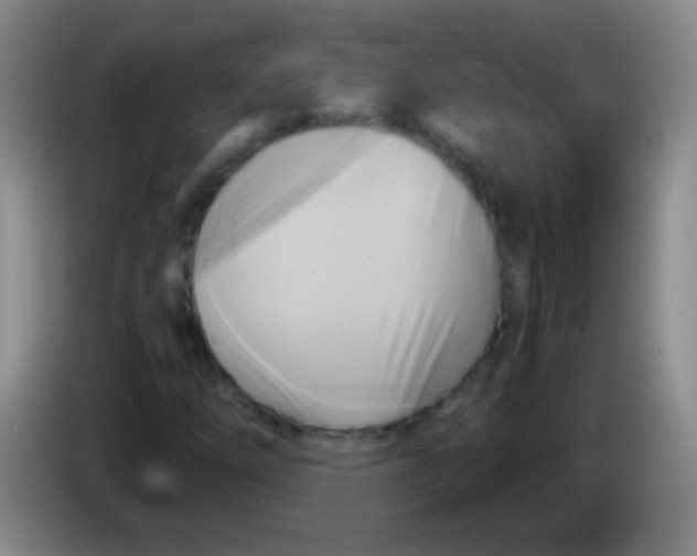 X0000084011254200703091919