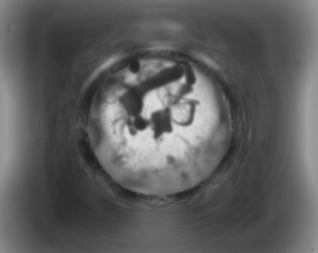 X0000084011255200703091919