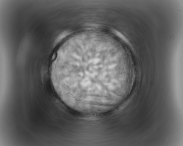 X0000084011259200703091919