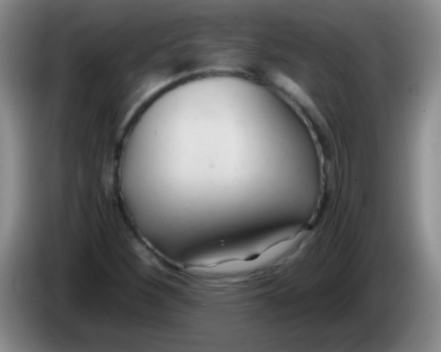 X0000084011260200703091919