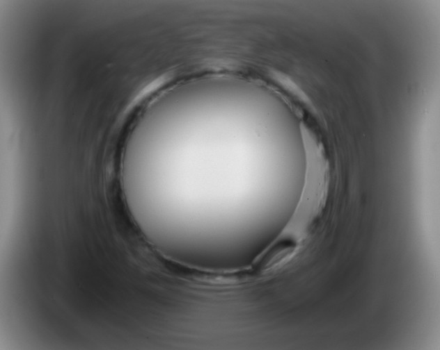 X0000084011261200703091919