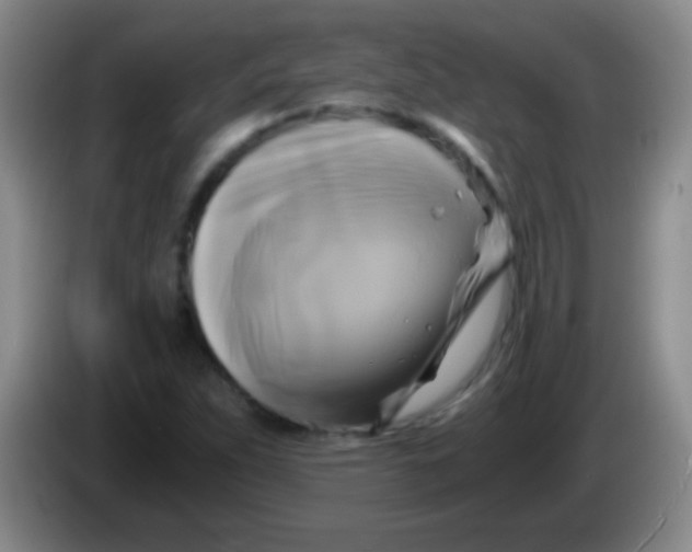 X0000084011263200703091919