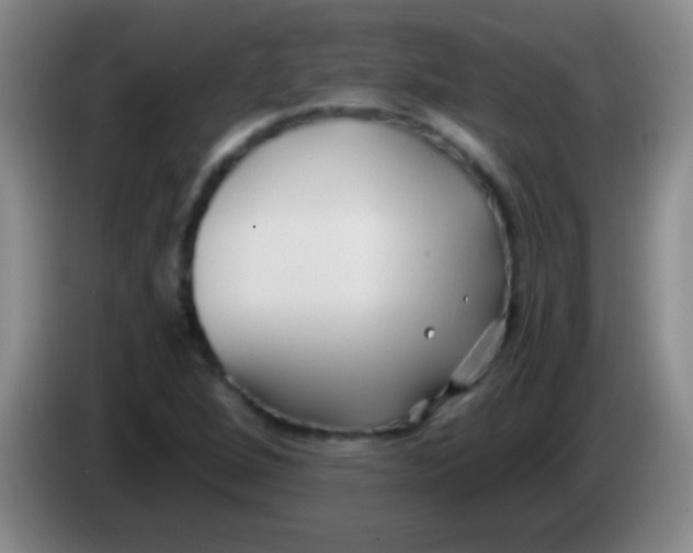 X0000084011264200703091919