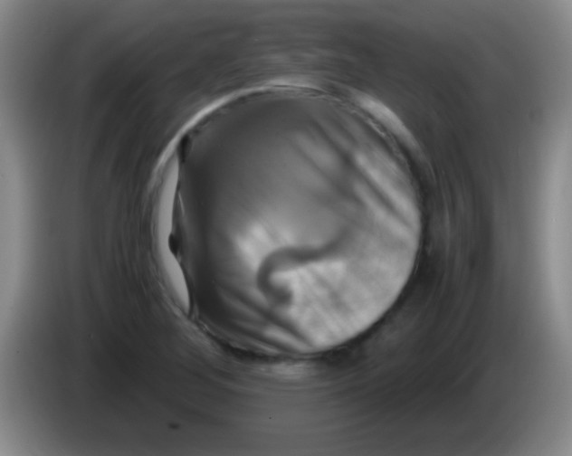 X0000084011268200703091919