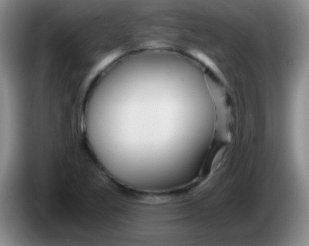 X0000084011269200703091919