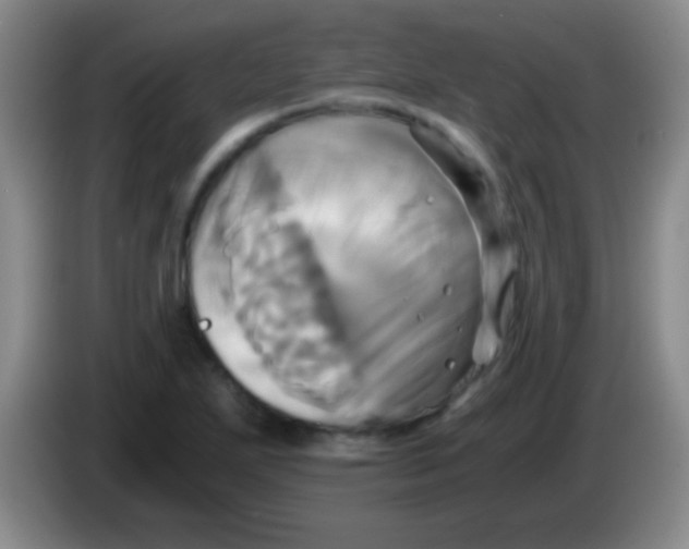 X0000084011271200703091919