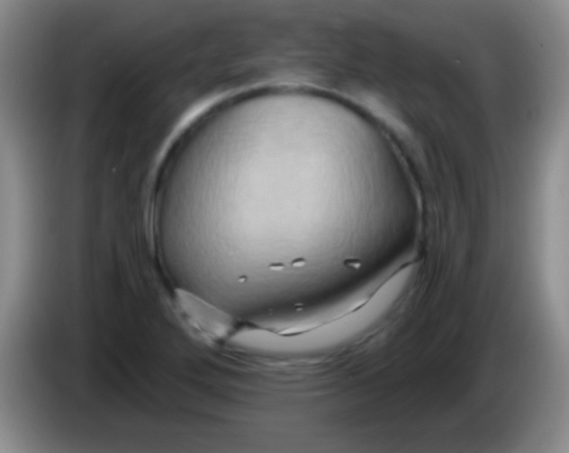 X0000084011272200703091919