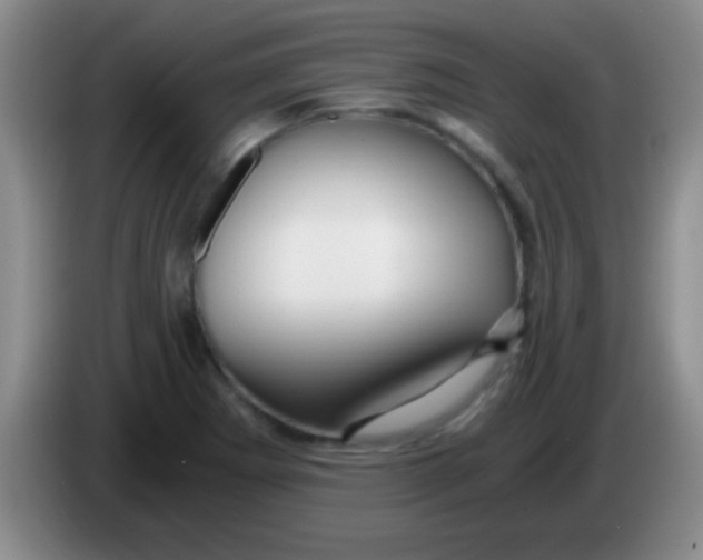 X0000084011273200703091919