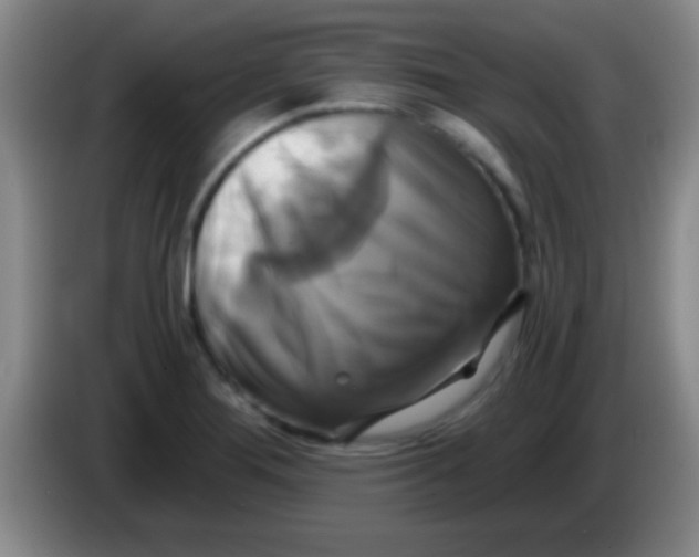 X0000084011276200703091919