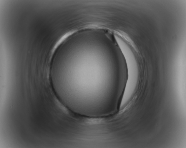 X0000084011277200703091919