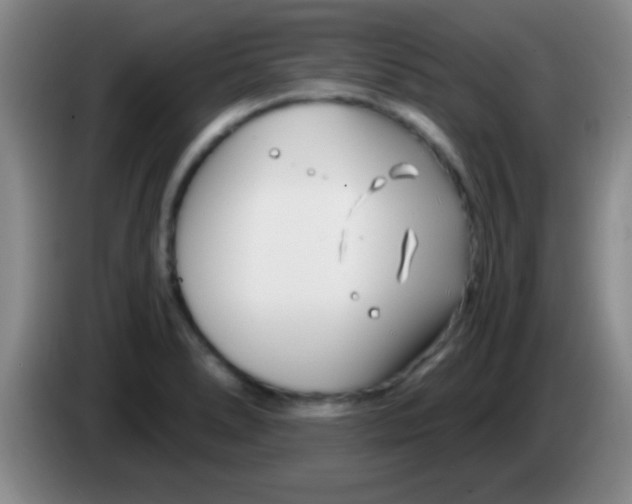 X0000084011278200703091919