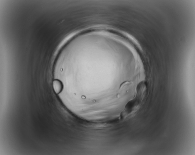 X0000084011279200703091919