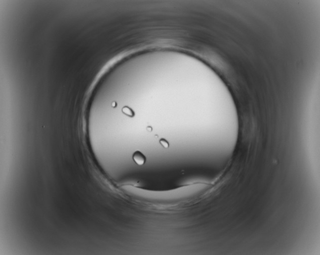 X0000084011280200703091919