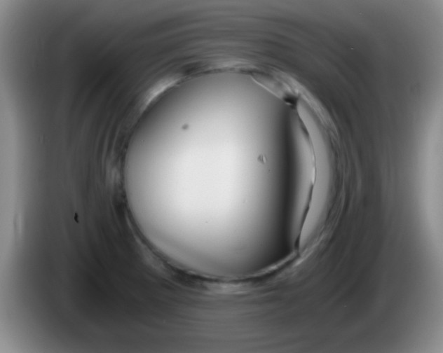 X0000084011281200703091919