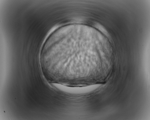 X0000084011283200703091919