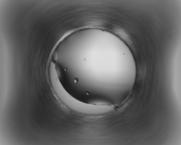 X0000084011284200703091919