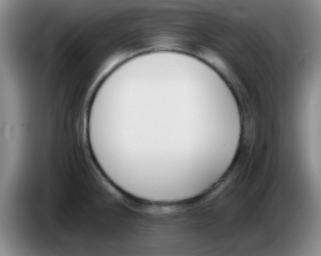 X0000084011286200703091919