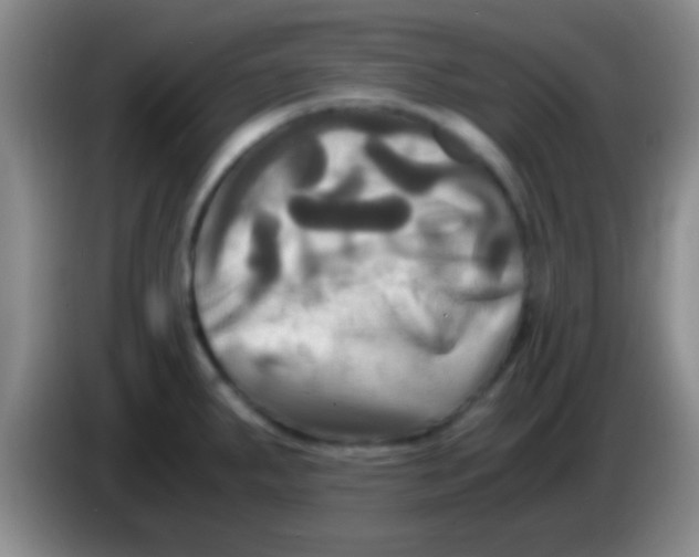 X0000084011287200703091919