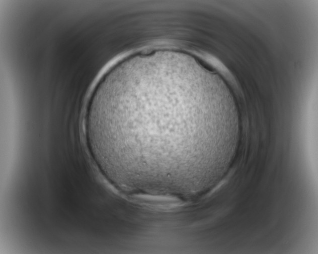 X0000084011288200703091919