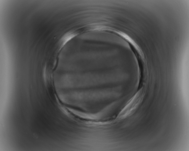 X0000084011289200703091919