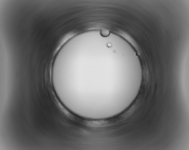 X0000084011290200703091919