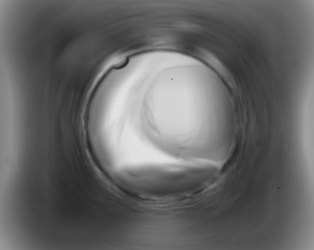 X0000084011291200703091919