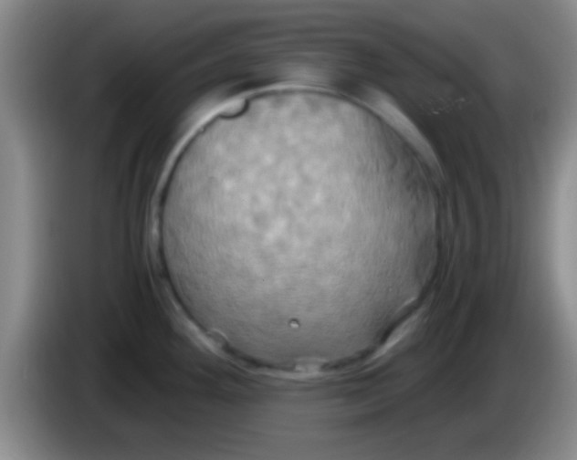 X0000084011292200703091919