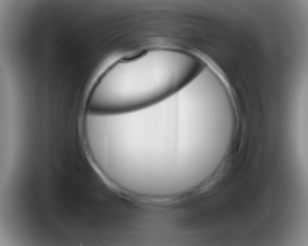 X0000084011293200703091919