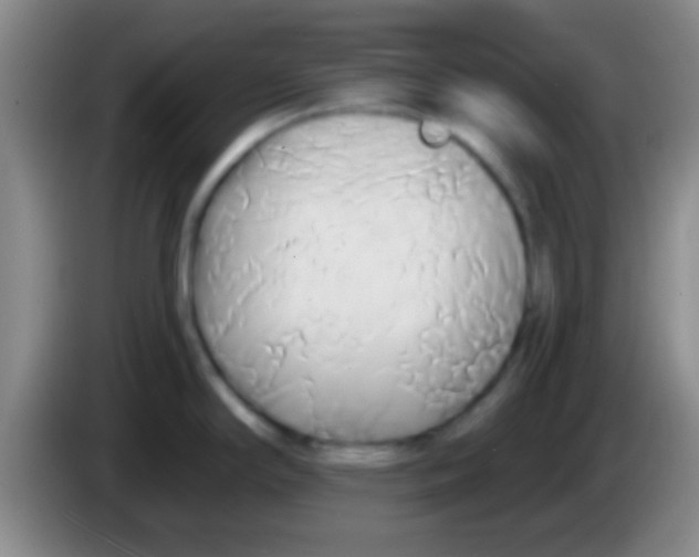 X0000084011294200703091919