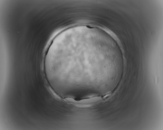 X0000084011296200703091919