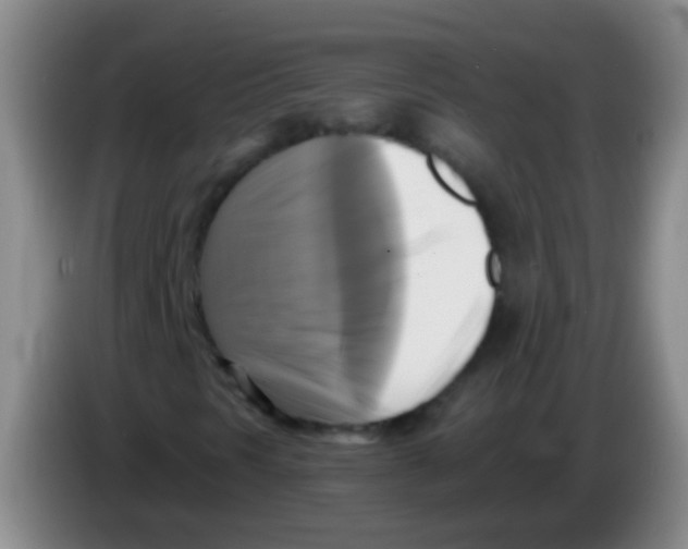 X0000084011297200703091918