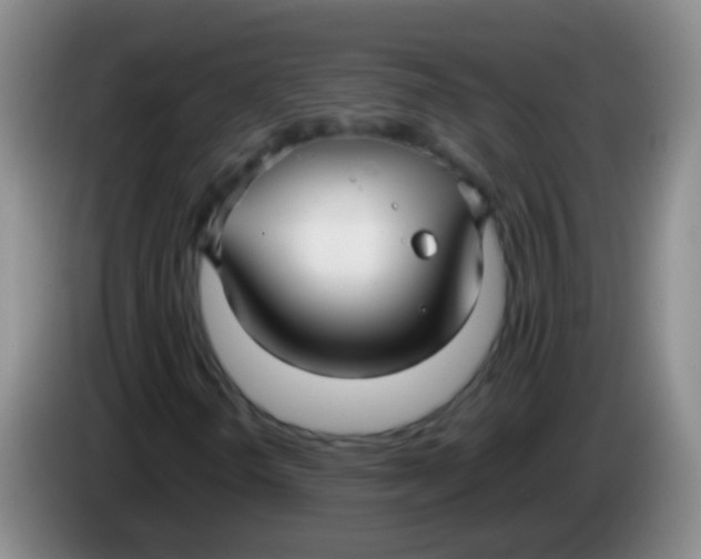 X0000084011298200703091918