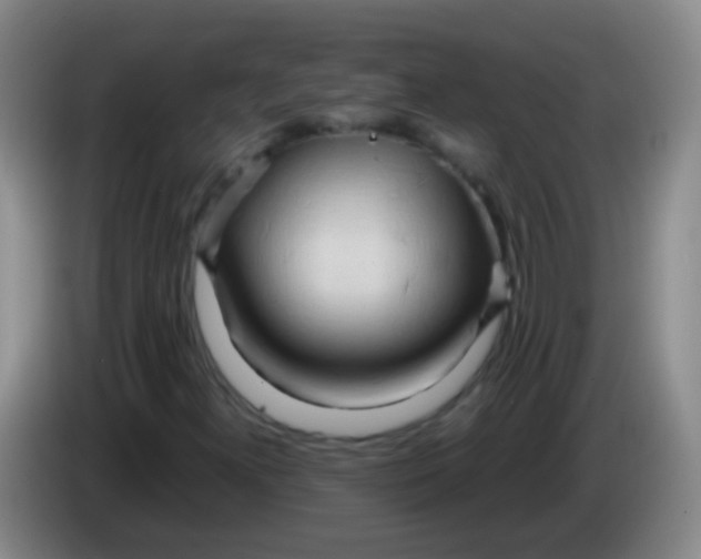 X0000084011300200703091918