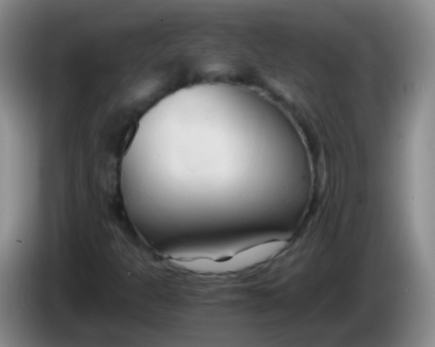 X0000084011301200703091918