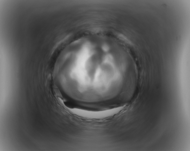 X0000084011302200703091918